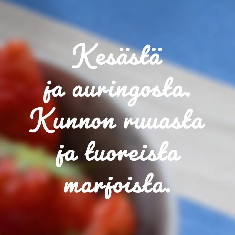 Elonviisaus